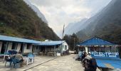 Trail Walking Dangsing - Annapurna Base Camp - Photo 6