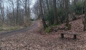 Trail Walking Liège - montée bois de St Jacques . traversée par sart aux fraises . descente ruisseau de kinkempois - Photo 6