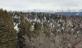 Tocht Sneeuwschoenen Autrans-Méaudre en Vercors - Pas de Nave  - Photo 3