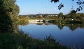 Tour Zu Fuß Gunzenhausen - Alemannenweg - Photo 9