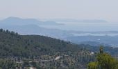 Tour Wandern Le Castellet - Traversée du Gros Cerveau - forteresses et grotte - Photo 13