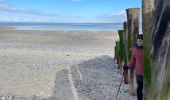 Tocht Stappen Cayeux-sur-Mer - Le Hourdel - Photo 11