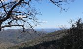 Tour Wandern La Garde-Freinet - La Garde Freinet - Photo 8