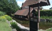 Randonnée Marche Sentheim - Par la forêt et le fil de l'eau - Photo 10