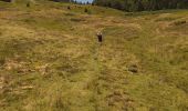 Trail Walking Borce - gr10 de force au col de barrancq - Photo 3