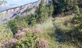 Randonnée Marche Enchastrayes - L'AUPILLON DEPUIS LE CAMPING Randonnée Marche Enchastrayes - L'AUPILLON DEPUIS LE CAMPING