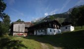 Trail On foot Ramsau am Dachstein - Umwelt- und Naturlehrpfad - Photo 7