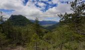 Tour Wandern Die - Col de Bergu  - Photo 6