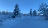 Excursión Esquí de fondo Saint-Front - 2022 01 randonnées en MEZENC : montée au Mont MEZENC et tour du Mont d’Alambre. - Photo 15