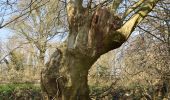 Excursión Senderismo Olne - Les grès de Vaux: Olne Vaux-sous-Olne Froidbermont - Photo 15