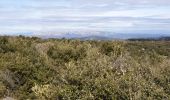 Tour Wandern Gémenos - Col de L'Espigoulier, col de Bretagne, Dents de Roque Forcade A/R - Photo 8