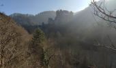 Trail Walking Wierschem - château Eltz - Photo 3