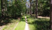 Tocht Stappen Anhée - Bois de la Croix de Banse et Bois de Ronquière - Photo 12