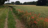 Tocht Stappen Genepiën - bousval - Photo 1