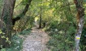Trail Walking Saint-Alban-Auriolles - Tour des gorges de la baume - Photo 3
