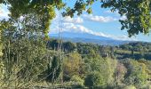 Tour Wandern Taulignan - Taulignan le chemin de la soie - Photo 9