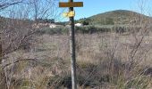 Excursión Senderismo Aureille - les Alpilles d aureille - Photo 3