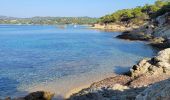 Randonnée Marche La Croix-Valmer - Le cap Lardier - Photo 3