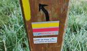 Randonnée Marche Viroflay - Le plateau  de Saclay, de Viroflay à Igny - Photo 9