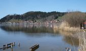 Tour Zu Fuß Füssen - Hopfensee-Rundweg - Photo 7