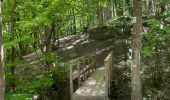 Tocht Stappen Trooz - Trou du renard  fond des trois bois - Photo 1