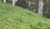 Trail Trail Sainte-Anne - Saint Anne  - Photo 1