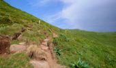 Trail Walking Albepierre-Bredons - Cantal - Col de Prat de Bouc Le Plomb du Cantal - 8.2km 450m 2h45 - 2019 07 06 - Photo 1