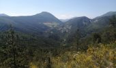 Tour Wandern La Chaudière - Le mont faraud - Photo 14