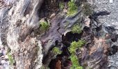Trail Walking Stoumont - stpumont - froudcour aller via sentier corniche retour le long de l ambleve - Photo 5