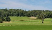 Tour Wandern Williers - rando chameleux 22-08-2024 - Photo 7