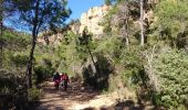 Percorso A piedi Roquebrune-sur-Argens - z le coulet redon 18-02-20 - Photo 4