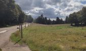 Tour Wandern Xonrupt-Longemer - Pic du Hohneck - Photo 5