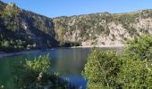 Trail Walking Orbey - Lac Blanc - Photo 8