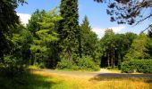 Trail Walking Saint-Crépin-aux-Bois - en forêt de Laigue_3_07_2019_La Malmère_Les Croisettes_Monts du Rond Buisson et des Châtillons - Photo 17