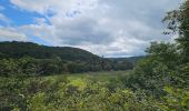 Tour Wandern Chaudfontaine - Chaudfontaine  - Bois les Dames - Photo 13