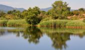 Tocht Stappen Le Cannet-des-Maures - Boucle autour du Lac des Escarcets - Photo 9