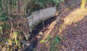 Randonnée Marche Antony - La vallée aux loups depuis Antony - Photo 2