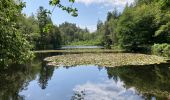 Tocht Stappen Saint-Nabord - Saint-Nabord - Photo 10