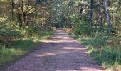 Trail Walking Deyvillers - Forêt de Deyvillers - Photo 2