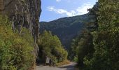 Randonnée V.T.T. Aspres-sur-Buëch - Gorges de l'Agnielle - Photo 4