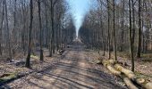 Trail Walking Anthisnes - Anthines - AS03 - Boucle de Tolumont - Losange Bleu - Photo 2