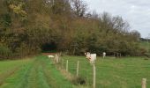 Randonnée Marche Envermeu - envermeu le bucq st sulpice breuilly - Photo 2