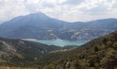 Tocht Stappen Le Sauze-du-Lac - les Demooselles coiffées (vues du dessus)  - Photo 9