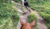 Trail Horseback riding Fraize - Fraize-Orbey - Photo 10