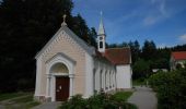 Tour Zu Fuß Feistritztal - Wanderweg 6 - Photo 7