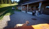 Randonnée Marche Soultzeren - Boucle Schildmatt / Lac vert / Auberge du Tanet - Photo 10
