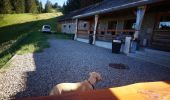 Excursión Senderismo Soultzeren - Boucle Schildmatt / Lac vert / Auberge du Tanet - Photo 10