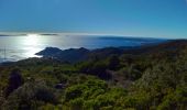 Randonnée Marche Le Lavandou - les hauts de Pramousquier - Photo 5