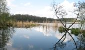 Randonnée A pied Am Mellensee - Mellenseer Heideweg - Photo 1