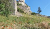Randonnée Marche Boulbon - le château de Boulbon - Photo 11